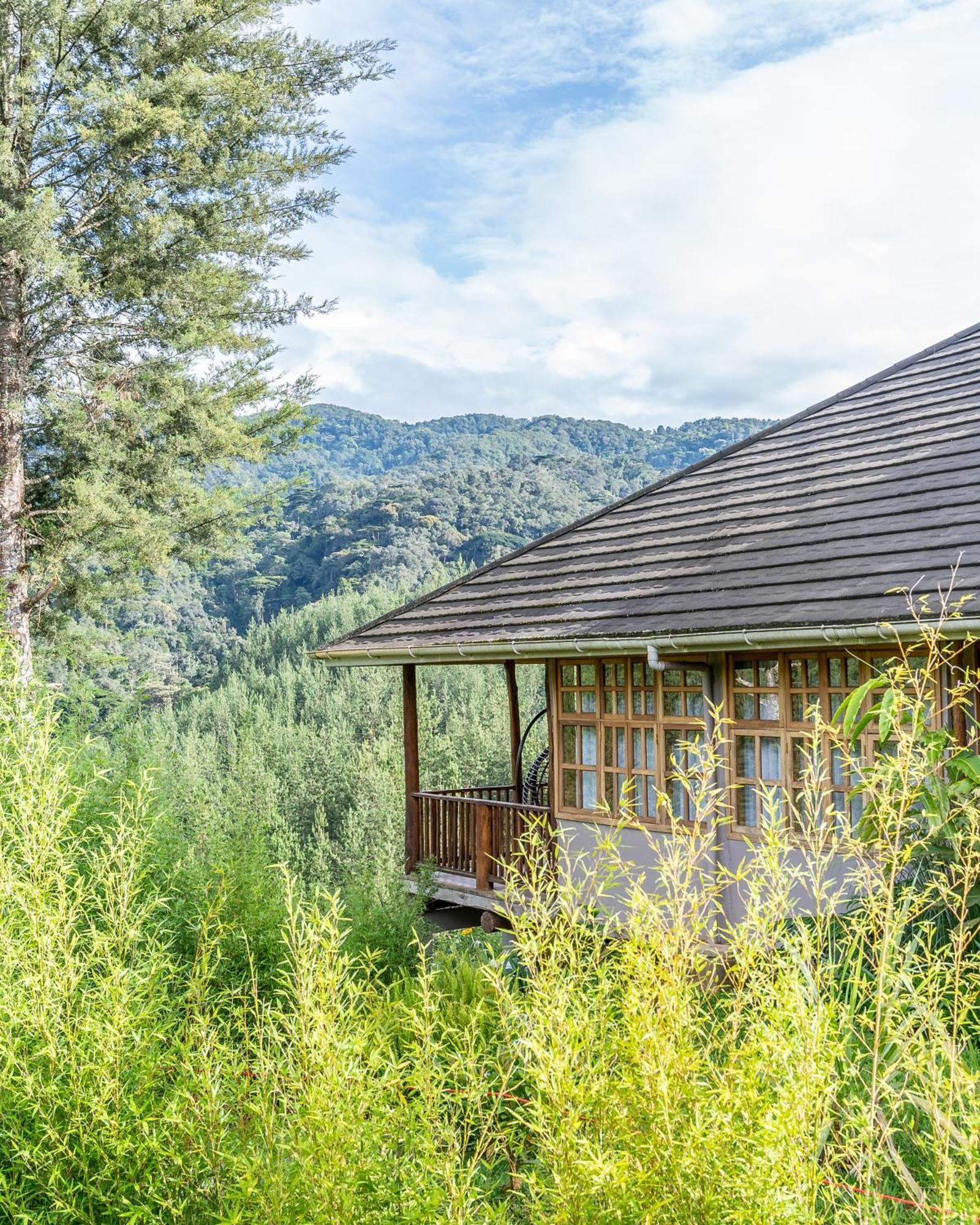 Gorilla Leisure Lodge Kisoro Bagian luar foto